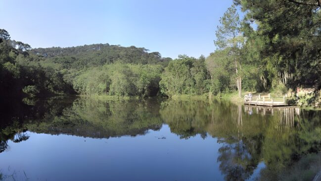 A imagem mostra a Lagoa das Carpas e toda a sua tranquilidade