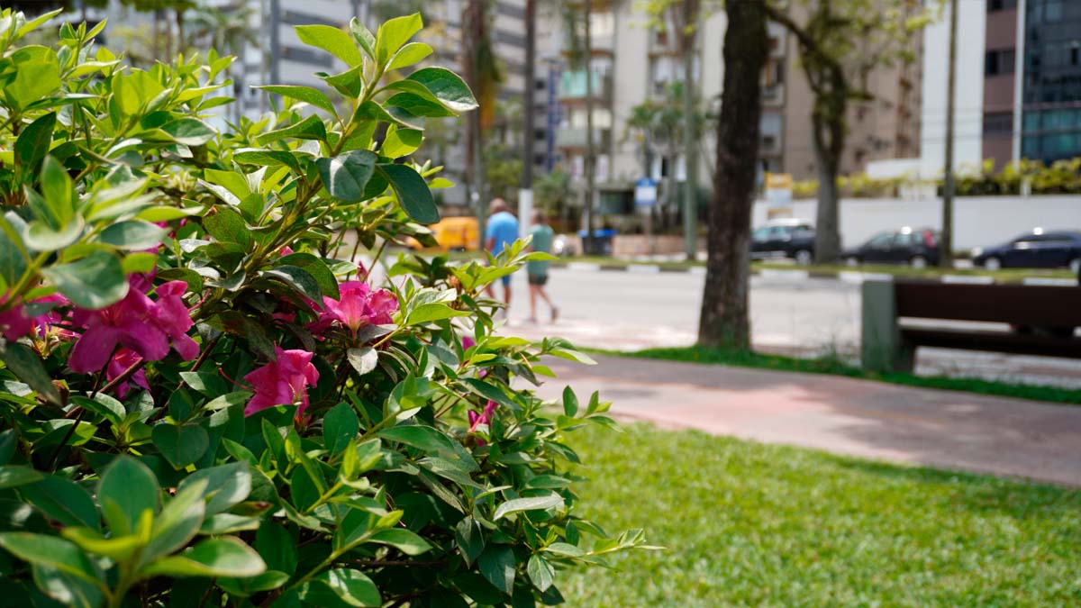 Jardim da orla da praia de Santos
