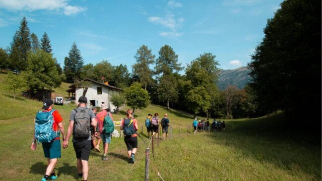 Nem toda caminhada gera resultado, o segredo está na continuidade (Foto: Pexels)