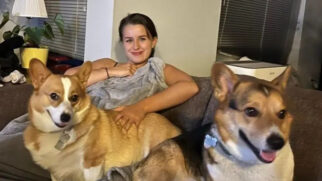 Casal se torna “pais de pet profissionais” e encontra forma de viajar o mundo sem pagar aluguel