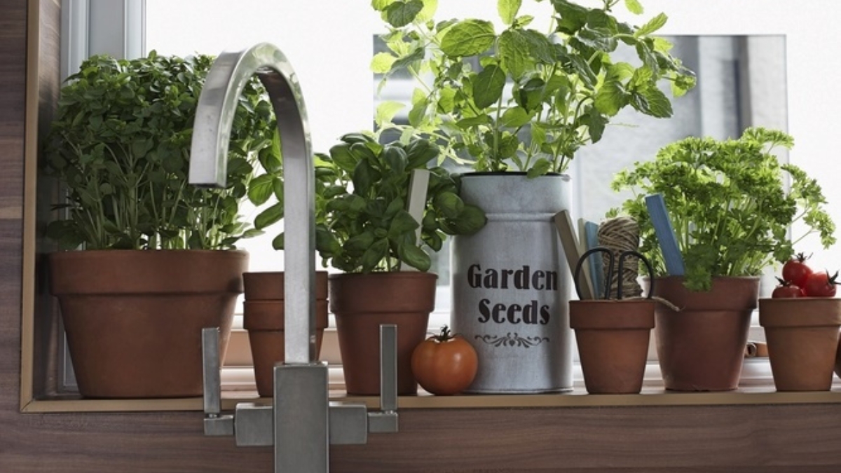 Uma pia de cozinha moderna de madeira com uma torneira de aço inoxidável em primeiro plano. Atrás dela, no parapeito da janela, estão vários vasos de terracota contendo plantas de hortelã e manjericão.