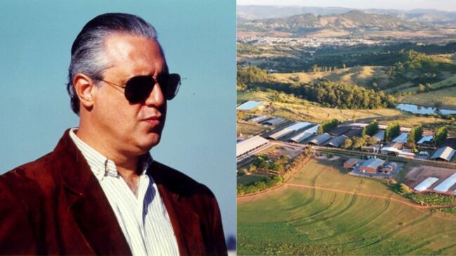 Novela "Rei do Gado"