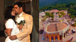 Novela Alma Gemea