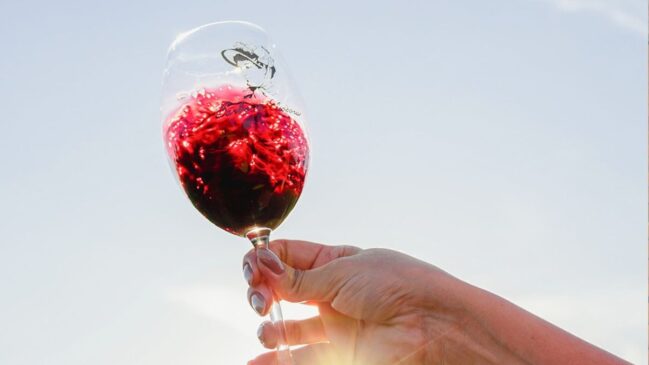 Taça de vinho da vinícola Barbara Eliodora