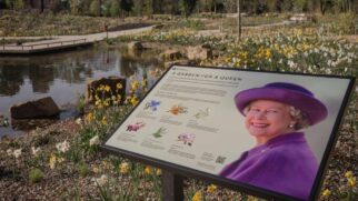 Novo Jardim da Rainha Elizabeth reúne flores raras, lago e mais de 8 mil metros de natureza em Londres