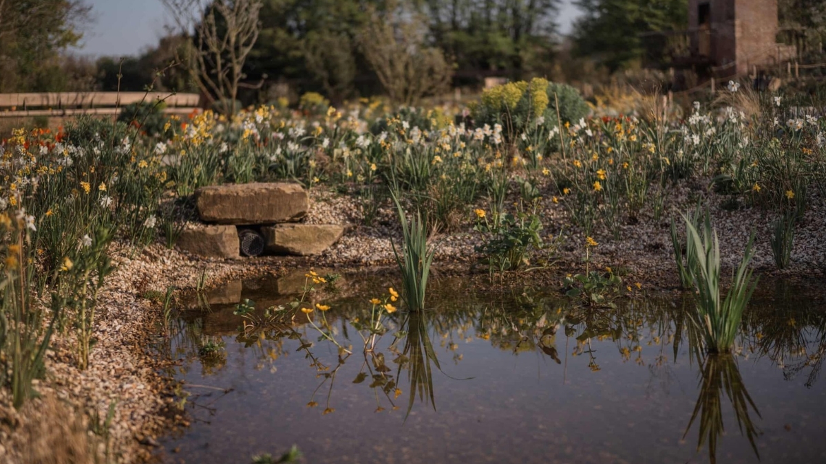 Novo Jardim da Rainha Elizabeth