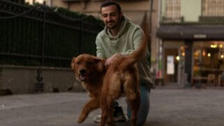 Pessoa agachada fazendo carinho e alimentando um cachorro de rua, ilustrando a nobreza e a compaixão por todas as criaturas ensinada por Buda.