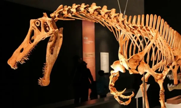 Dinossauro irritator