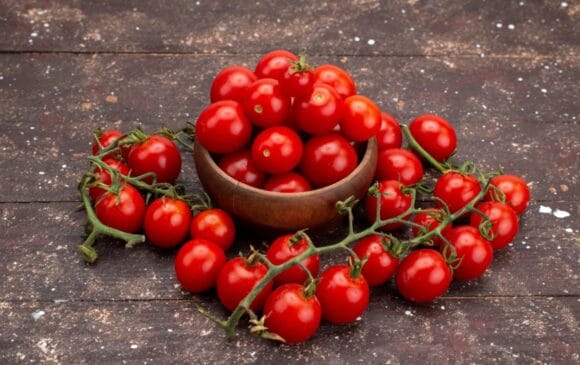 O tomate cereja ganha destaque com seus pequenos cachos brilhantes pendurados nos galhos, conferindo-lhe uma aparência quase festiva.