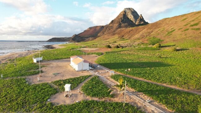 A paisagem de origem vulcânica, marcada por paredões de basalto preto e praias desertas, abriga o maior berçário de desova da tartaruga-verde no Brasil.
