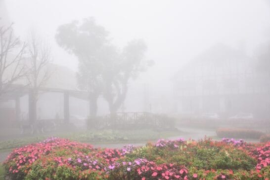 O inverno na Serra Gaúcha registra mínimas que chegam a 8°C, transformando a paisagem de Nova Petrópolis no cenário ideal para curtir o frio e a gastronomia típica. /Wikipédia