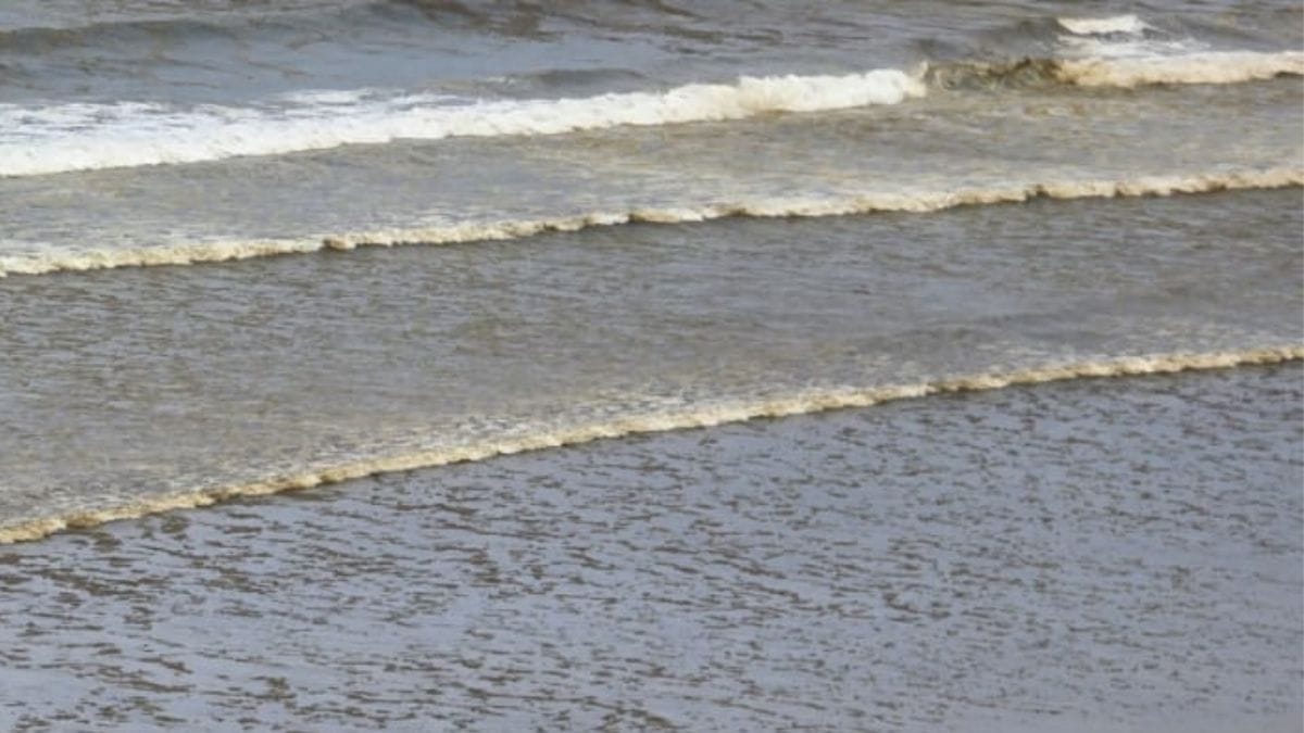 Imagem aérea do mar de Praia Grande com coloração amarronzada
