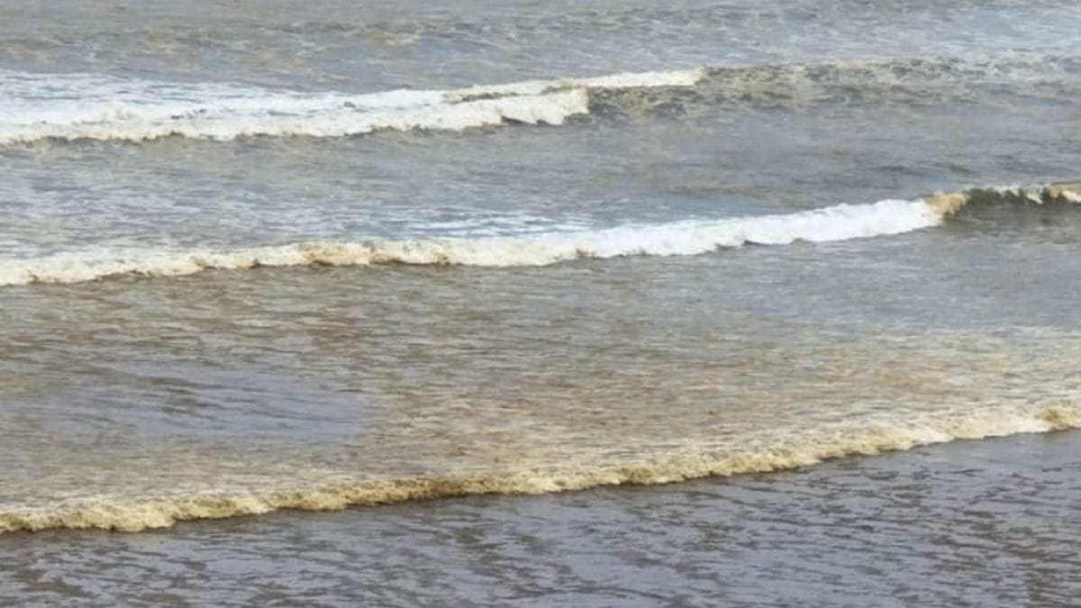 Imagem aérea do mar de Praia Grande com coloração amarronzada
