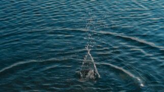 Pedra caindo em um lago calmo e criando ondas, simbolizando como o que fazemos agora ecoa pela eternidade através de nossas atitudes