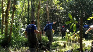 A imagem mostra homens trabalhando na area ambiental