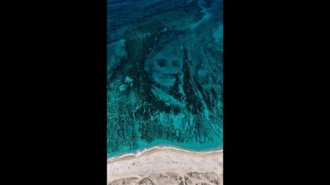 Turistas ficam até com medo de nadar no lugar - Reprodução/Instagram/Rafa.Mesquita