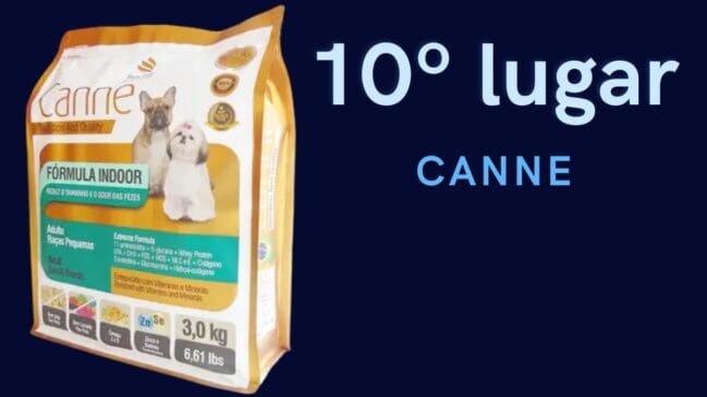 10º lugar: Canne