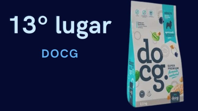 13º lugar: Docg
