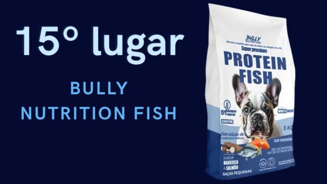 15º lugar: Bully Nutrition Fish