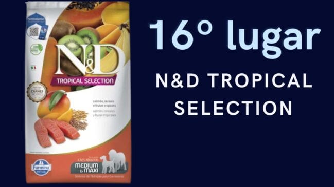 16º lugar: N&D Tropical Selection