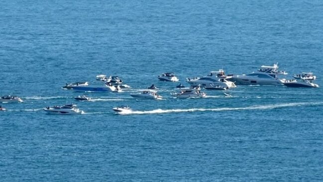 Imagens gravadas no último sábado (6) mostram lanchas e jet-skis rodando uma baleia jovem