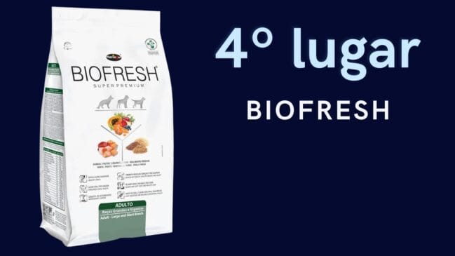 4º lugar: Biofresh