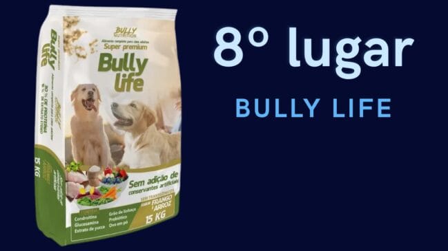 8º lugar: Bully Life