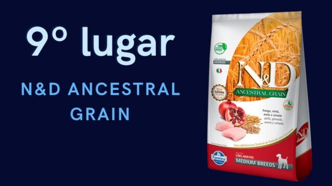 9º lugar: N&D Ancestral Grain