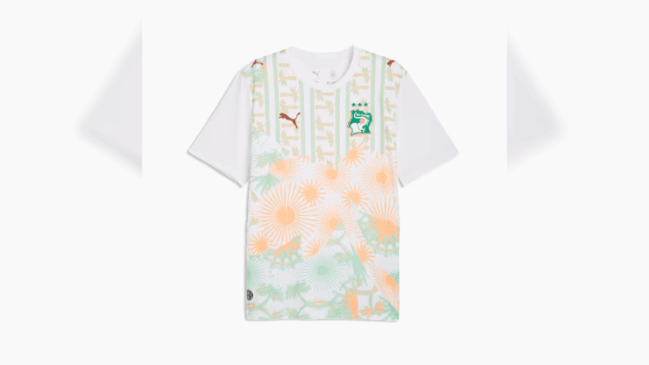 Camisa 2 (Away) da Costa do Marfim / Divulgação