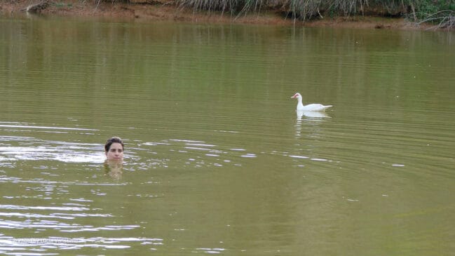 Um santuário ecológico em Minas Gerais para recarregar as energias longe dos holofotes. /Reprodução