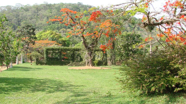 O equilíbrio perfeito entre o respeito à natureza e a tranquilidade da vida rural. /Reprodução