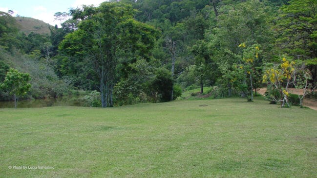 Vida no campo: da produção de mel no apiário às hortas orgânicas que abastecem uma fazenda. /Reprodução
