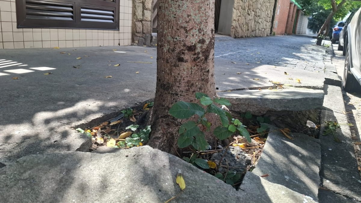 Uma foto em ângulo baixo focada na base de um tronco de árvore cercado por uma calçada de concreto quebrado e irregular em Santos. Placas grossas de concreto foram levantadas, criando bordas afiadas e perigosas. Detritos e pequenas plantas crescem nas frestas. Carros estacionados estão à direita.