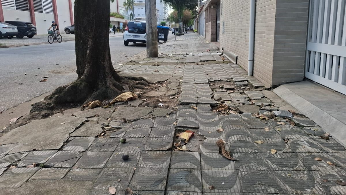 Foto em ângulo baixo de uma calçada em Santos com padrão de ondas. Raízes grossas de uma árvore grande à esquerda levantaram e quebraram a calçada, criando um terreno irregular e perigoso. Azulejos soltos e detritos estão espalhados. Uma rua e prédios estão ao fundo.