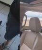 “Esse foi o nosso último passeio”: pastor alemão realiza sonho na praia antes de se despedir da família