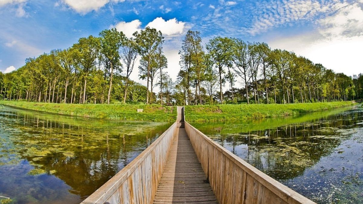 Ponte que divide as águas como Moisés impressiona turistas e parece desaparecer na água - Ponte que _divide as águas_ como Moisés impressiona turistas e parece desaparecer na água