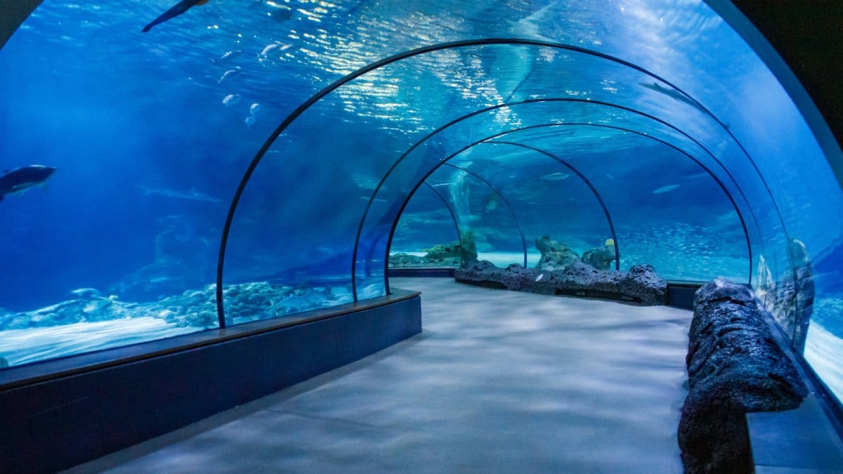 Construído após tragédias marítimas, o túnel japonês atravessa o fundo do oceano e segue como a maior travessia ferroviária subaquática do planeta (Foto: Public Domain Pictures)