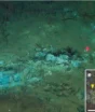 Cientistas encontram ‘floresta submarina de esqueletos’ com espécies nunca antes vistas