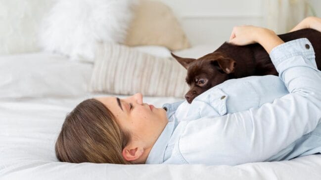 Seu cachorro parece um zagueiro? Entenda por que ele insiste em “marcar” você dentro de casa