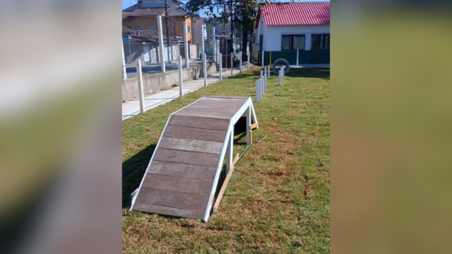 O espaço mostra alguns obstáculos para pets instalados em um gramado como rampas, estacadas e um pneu