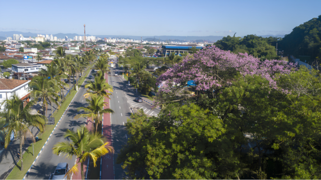 Rua de Guarujá vista de cima, coberta por árvores ao seu redor