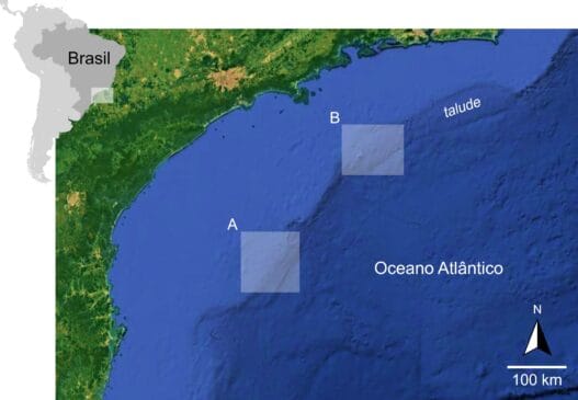 O levantamento inédito realizado por pesquisadores da USP e do Ipen analisou o conteúdo digestivo de peixes e invertebrados, revelando que até espécies isoladas, como o pepino-do-mar, foram afetadas