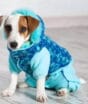 Pequenos, friorentos e cheios de estilo: veja as raças de cachorro que mais precisam de roupa no inverno