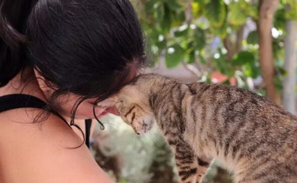 O esforço atraiu interesse mundial após ganhar destaque nas redes sociais, especialmente no TikTok, onde os usuários descreveram o trabalho como o emprego dos sonhos
