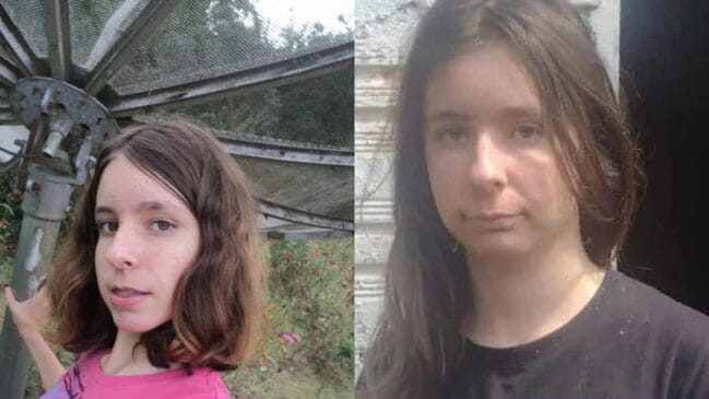 Em agosto de 2012, quando tinha apenas 14 anos, ela postou a foto durante uma viagem à casa de sua tia em Amaral Ferrador, no interior do Rio Grande do Sul