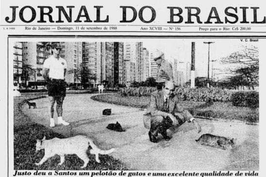 ‘Operação Tom & Jerry’: cidade brasileira soltou exército de gatos para caçar ratos e plano saiu completamente do controle
