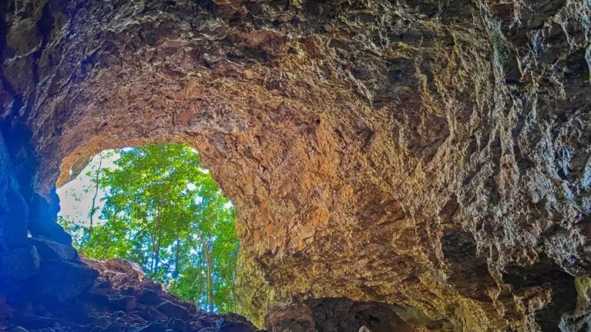 Entrada de caverna cercada por vegetação