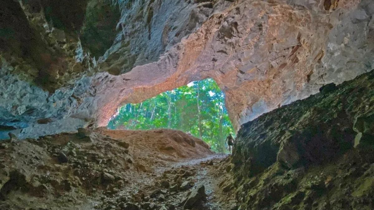 Caminho de trilha em ambiente natural