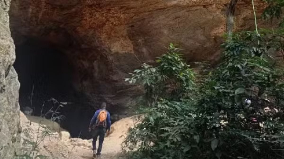Paisagem natural com formações rochosas e vegetação