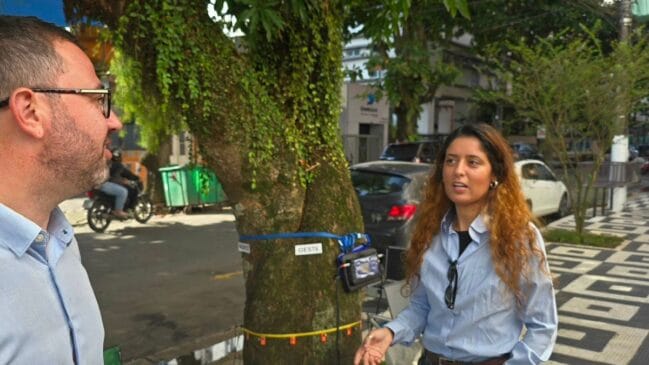 Guarujá faz “tomografia” em árvores para prevenir quedas e evitar tragédias